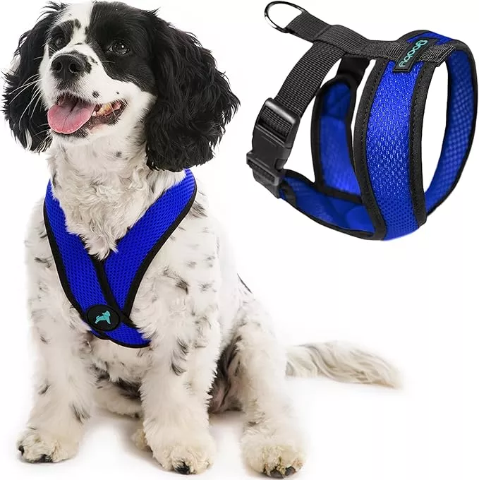 Gooby Comfort X Head In Harness – Blue, X-Large – No Pull Small Dog Harness Patented Choke-Free X Frame – Perfect on the Go Dog Harness for Medium Dogs No Pull or Small Dogs for Indoor and Outdoor Use