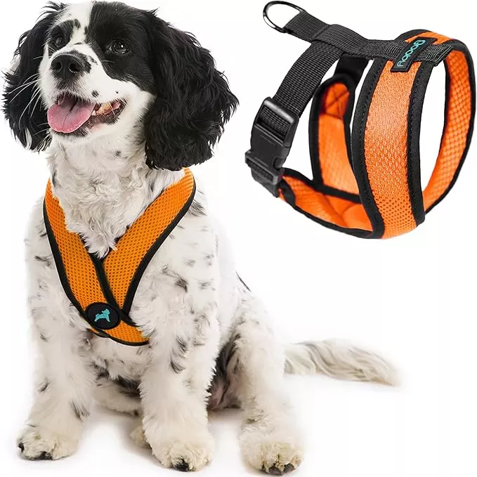 Gooby Comfort X Head-in Harness – Orange, Small – No Pull Dog Harness with Patented Choke-Free X Frame for Small Breeds – Indoor and Outdoor Use