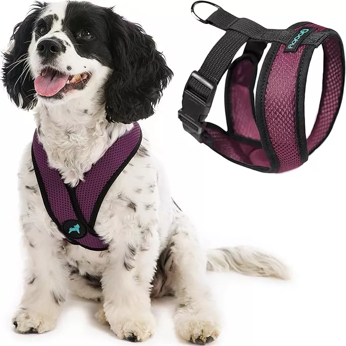 Gooby Comfort X Head In Harness – Purple, Medium – No Pull Small Dog Harness, Patented Choke-Free X Frame – Perfect on the Go Dog Harness for Medium Dogs No Pull, Small Dogs for Indoor and Outdoor Use