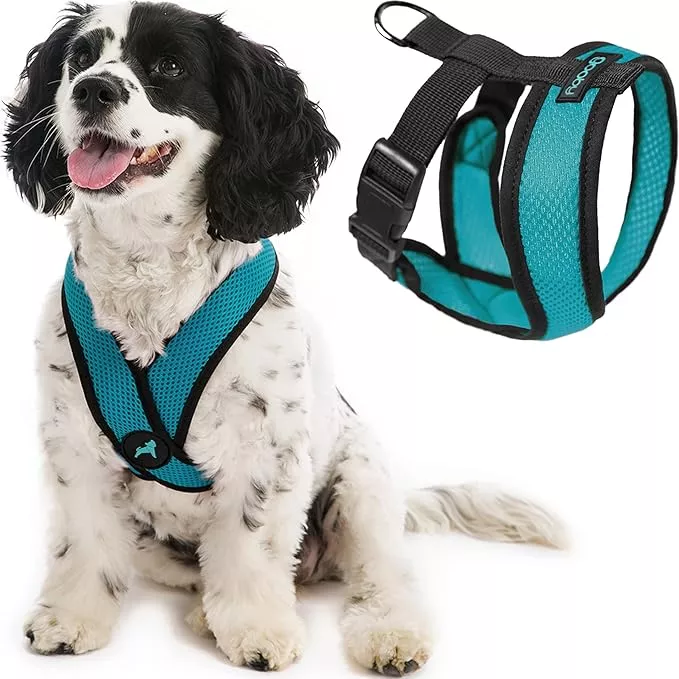 Gooby Comfort X Head in Harness – Turquoise, Large – No Pull Small Dog Harness, Patented Choke-Free X Frame – On The Go Dog Harness for Medium Dogs No Pull or Small Dogs for Indoor and Outdoor Use