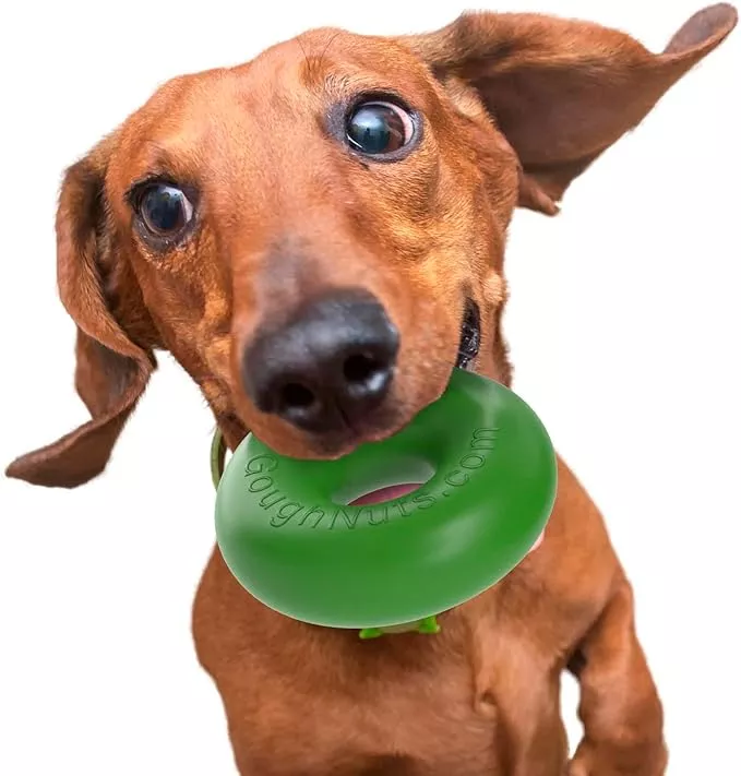 Goughnuts – Rubber Dog Chew Toy Med .75, Green, Ring
