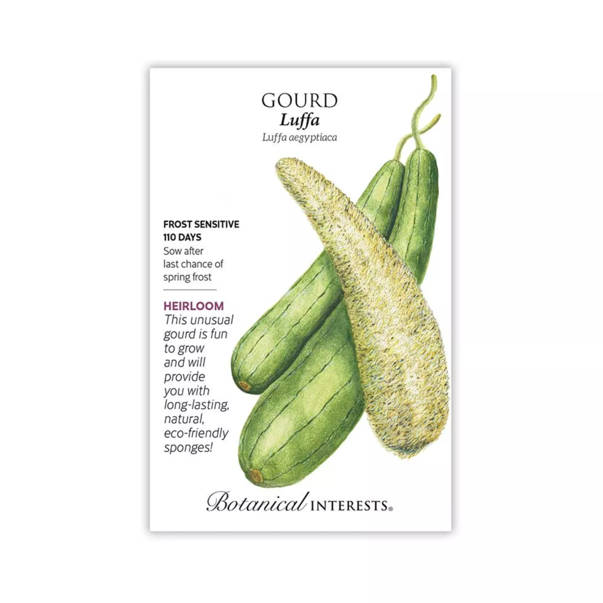 Gourd Luffa