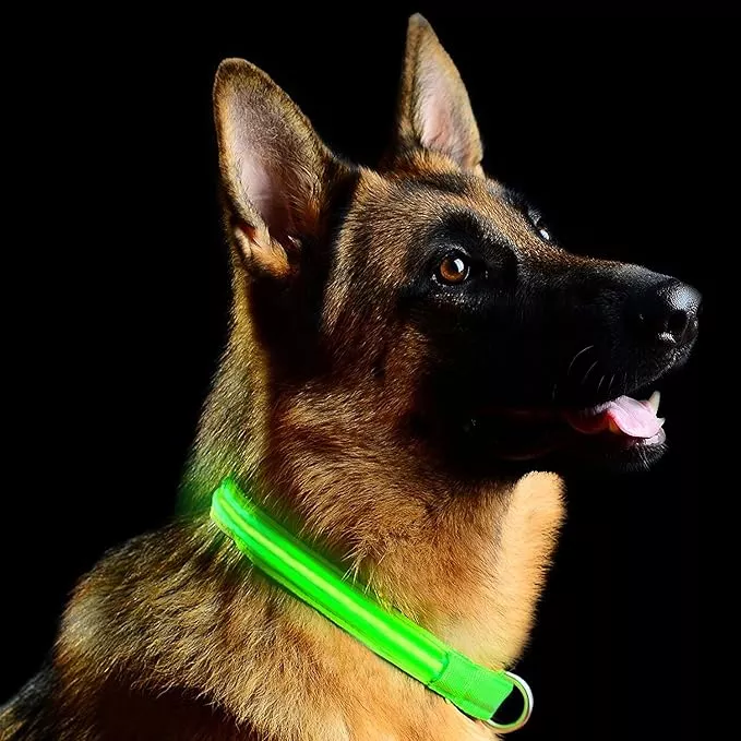 Green Light-Up LED Adjustable Pet Collar (Flashing or Steady Modes) - Rechargeable via USB Cable (Included) by Electronix Express (Small)