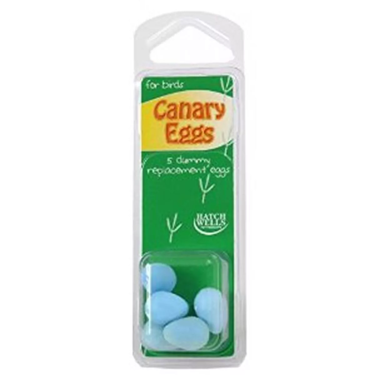 Hatchwells Blue Dummy Replacement Canary Eggs – 5 Pack