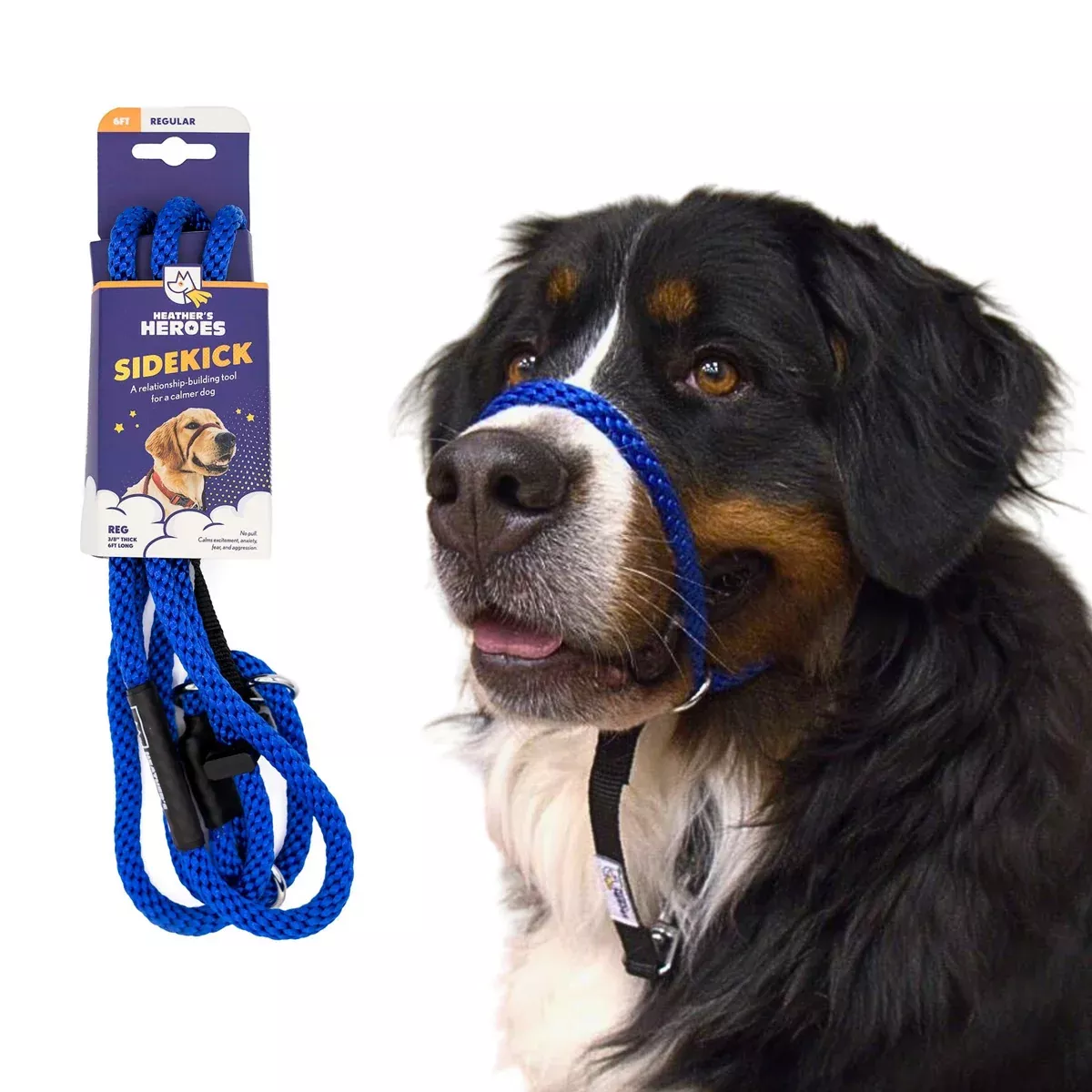Heather's Heroes Sidekick RegularBlue Dog Leash 3/8" x 6'