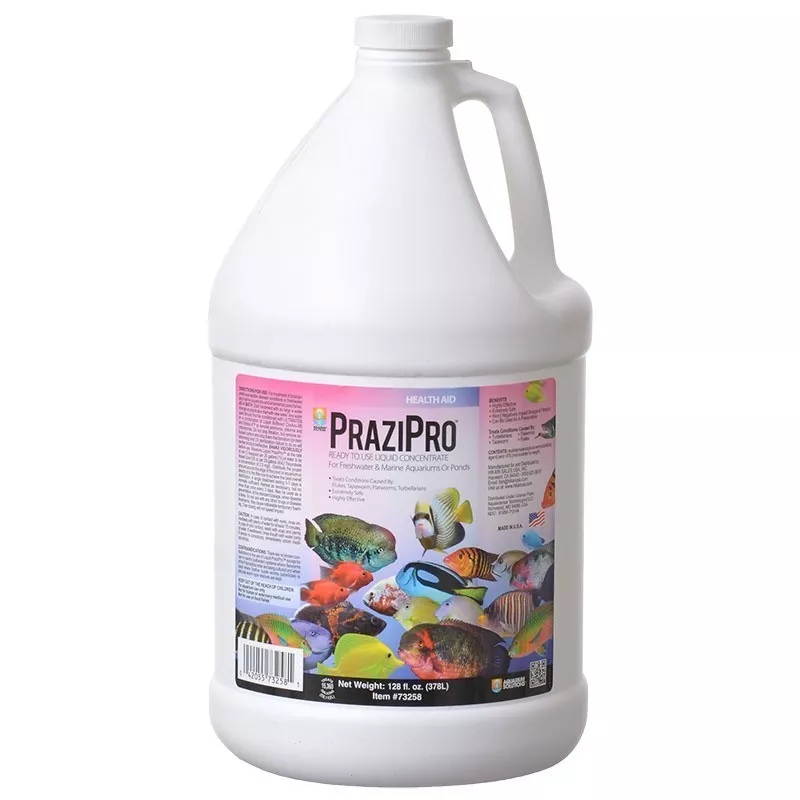 HiKari PraziPro 1Gal ( Aquarium Version )