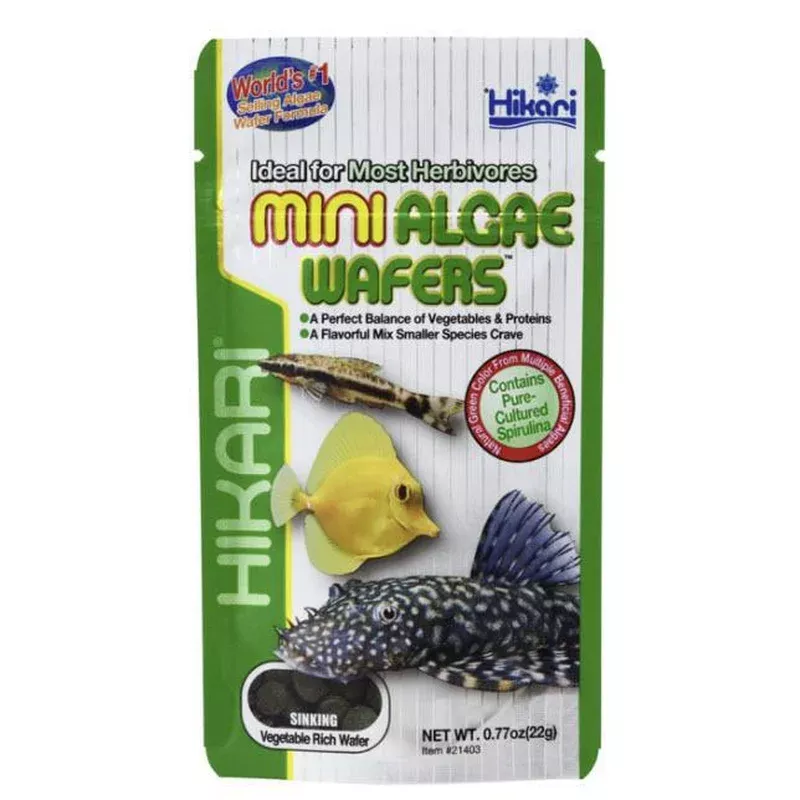 Hikari USA Algae Wafers Sinking Wafer Fish Food