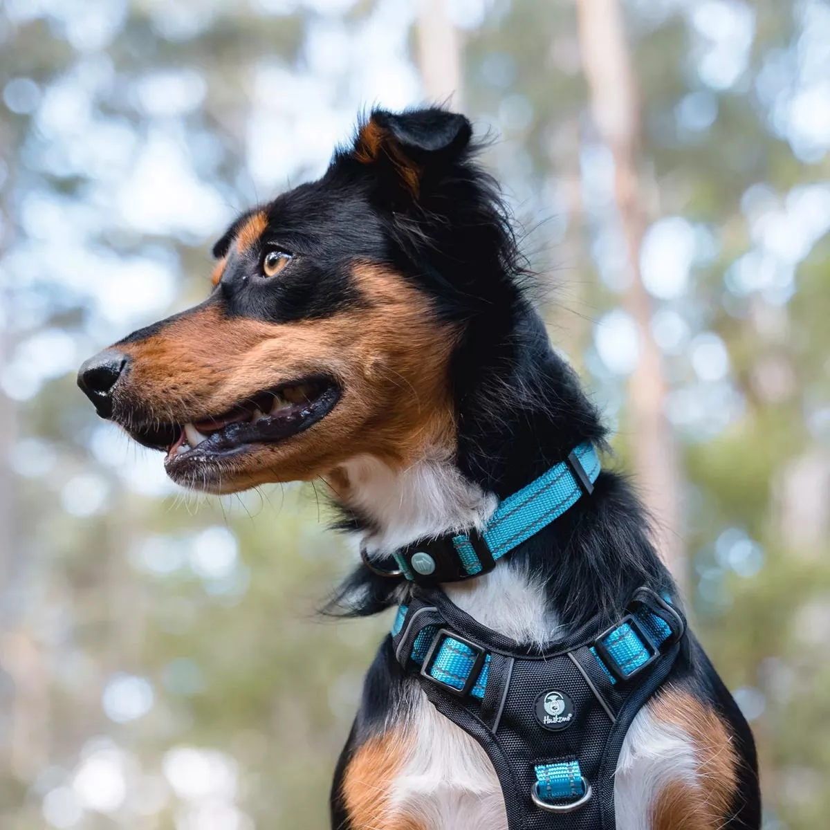 Huskimo Trekpro Collar