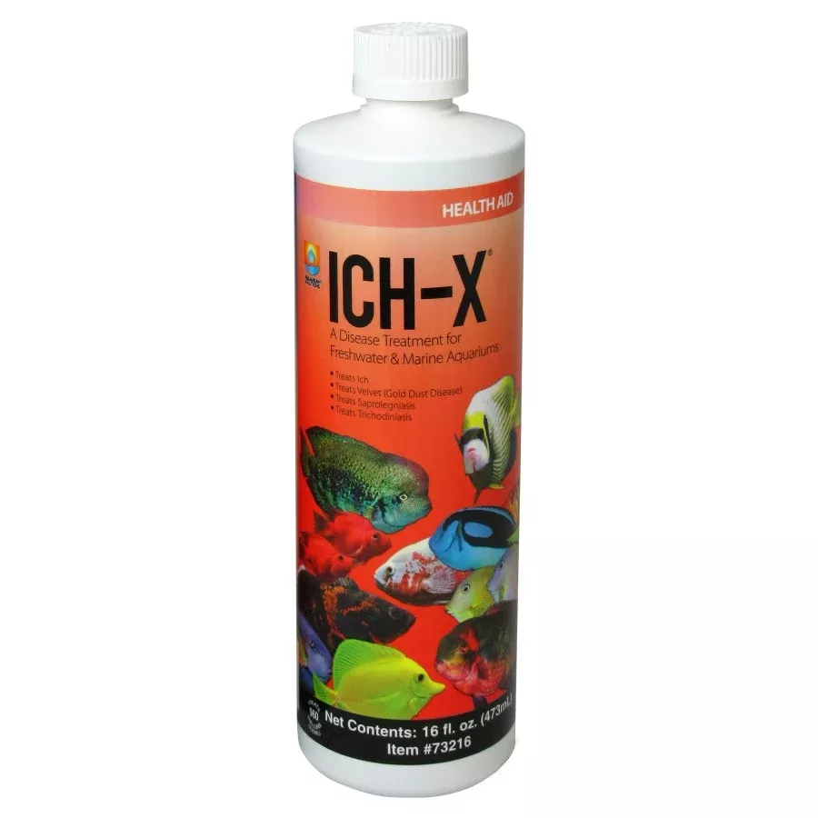 ICH-X – 16 oz. – Freshwater