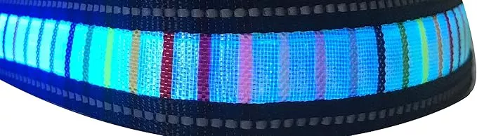 IT’S RIDIC! LED Rainbow Dog Collar Rechargeable via USB (Large, Blue LED)
