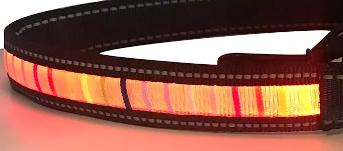 IT’S RIDIC! LED Rainbow Dog Collar Rechargeable via USB (Large, Red LED)