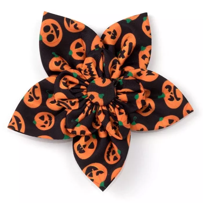 Jack-o-lantern Flower