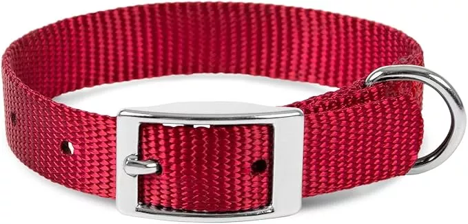 Jeffers Pet Solid Nylon Dog Collars, Red, 8″ W x 12″ L – Adjustable, Durable & Safe for Dogs, Lightweight & Double Ply Design, Stylish Pet Accessories – Perfect for Training, Walking & Tracker