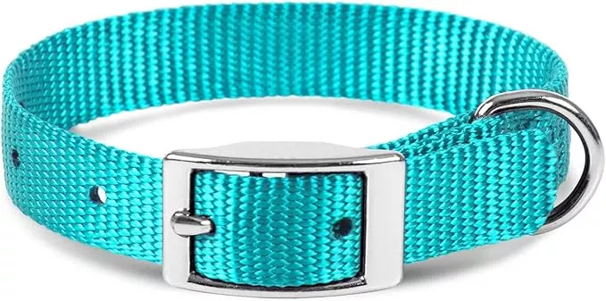Jeffers Pet Solid Nylon Dog Collars, Turquoise, 8″ W x 12″ L – Adjustable, Durable & Safe for Dogs, Lightweight & Double Ply Design, Stylish Pet Accessories – Perfect for Training, Walking & Tracker