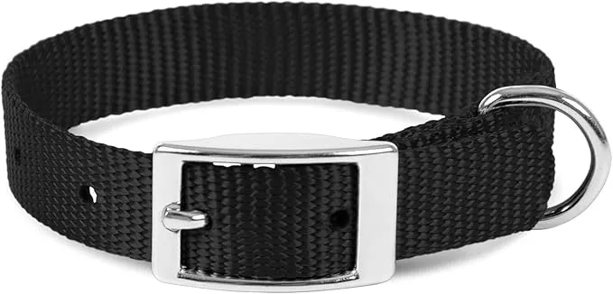 Jeffers Pet Solid Web Nylon Dog Collar for Small, Medium, Large Dogs – Adjustable Pet Collar, Nickel Plated Hardware – Strong, Durable, Comfortable – Outdoor, Training Use – Black 5/8″ W x 10″ L