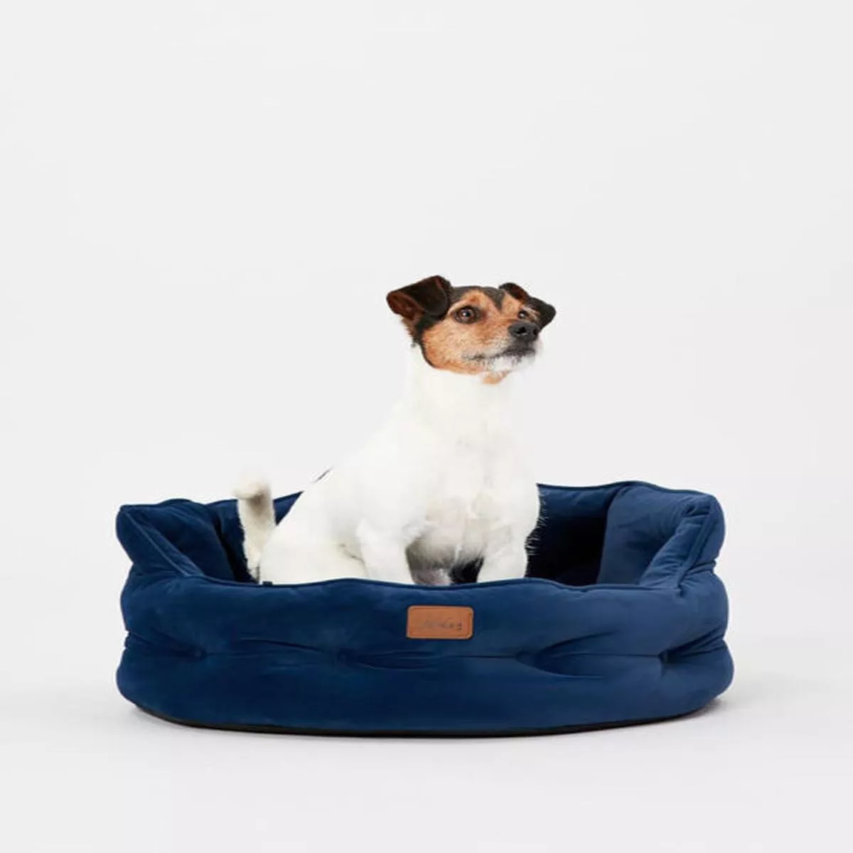 JOULESCHESTERFIELD PET BED NAVY SML