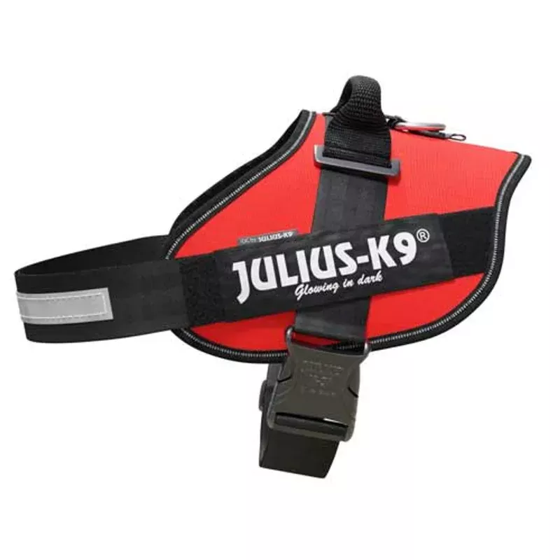 Julius K-9 IDC Power Harness Red L/1