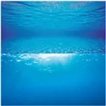 Juwel Poster 2 S - Underwater View Background