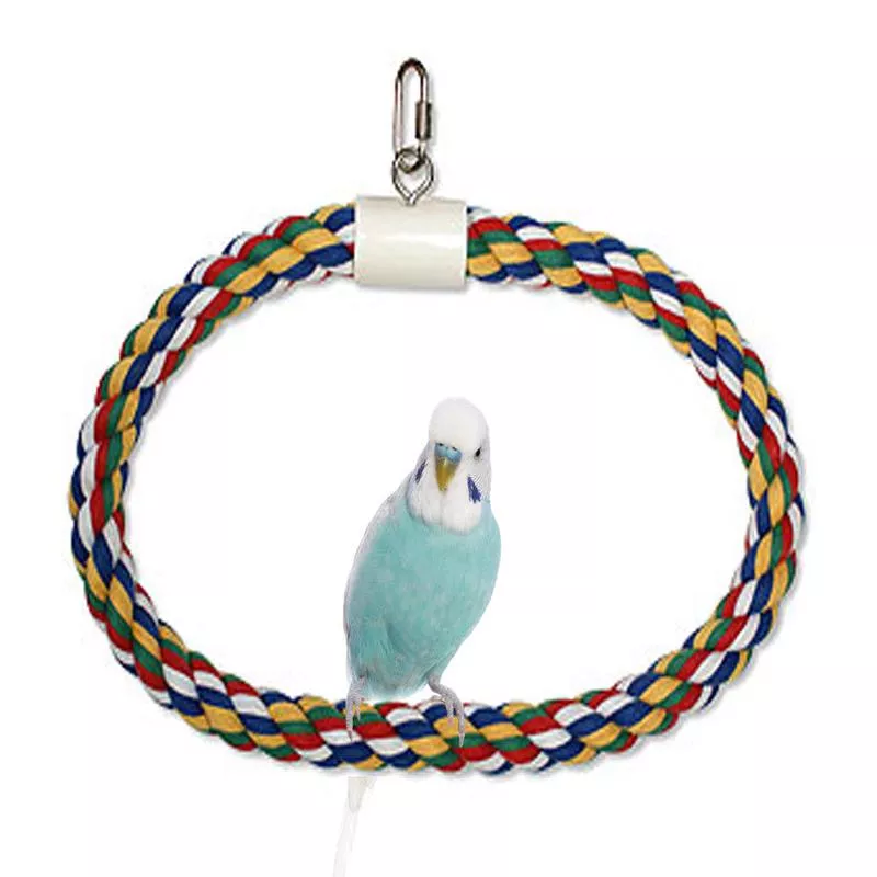 JW Pet Swing N Perch Ring Multi-Color MD