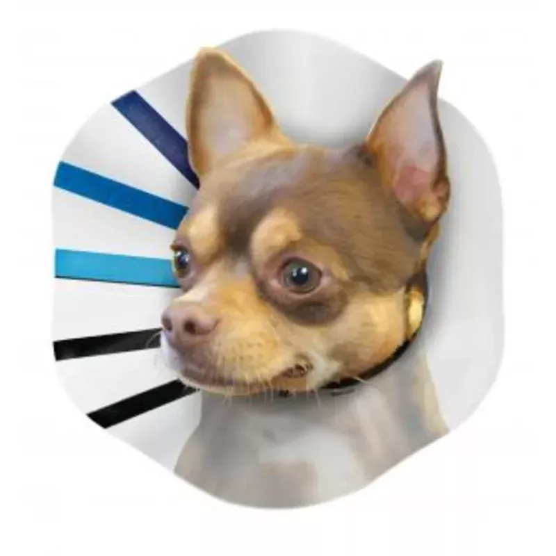 KONG E-Collar