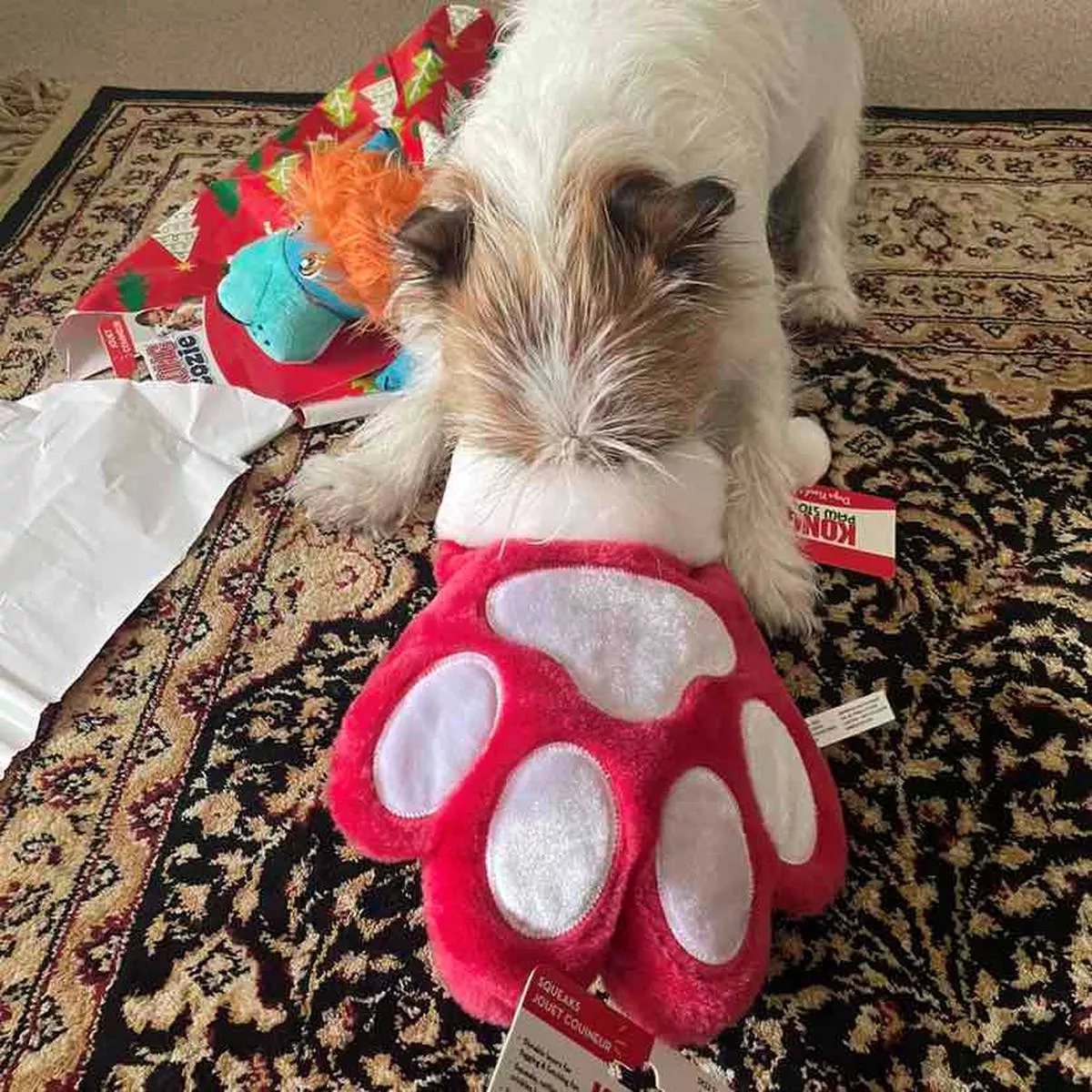 KONG HOLIDAY DOG STOCKING PAW LARGE