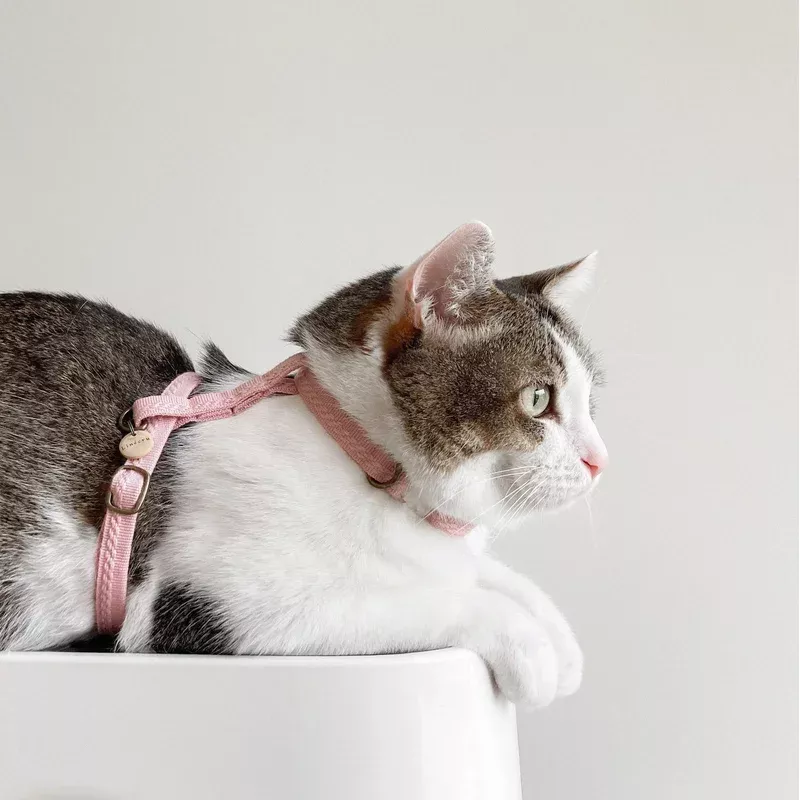 KOT // petite harness