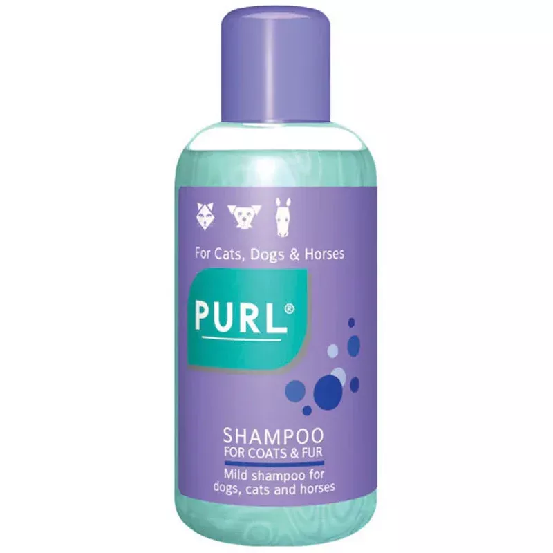 Kyron Purl Regular Shampoo 500ml