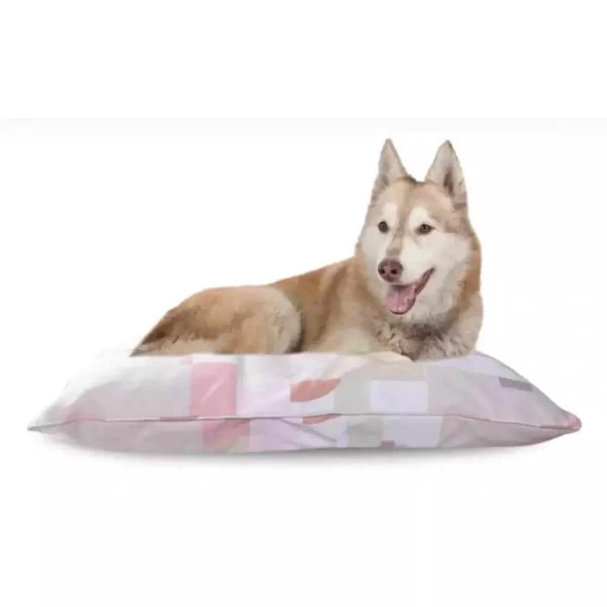 Large Pet Pillow – Colour Block