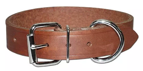Leather Brothers 1″ Regular Bully Leather Dog Collar, 21″ Length