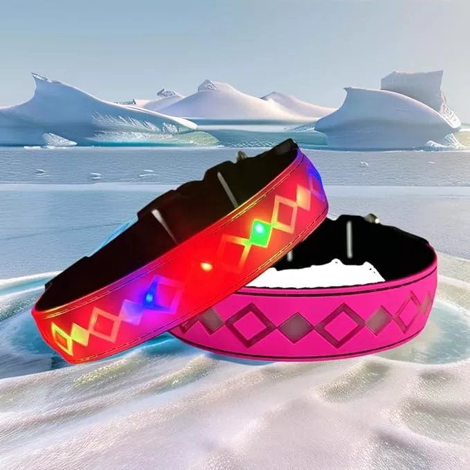 LED Dog Collar, 15 Light Modes, USB-C Rechargeable, Adjustable Silicone, Multiple Colors (Purple, M(11.8-15.7″))
