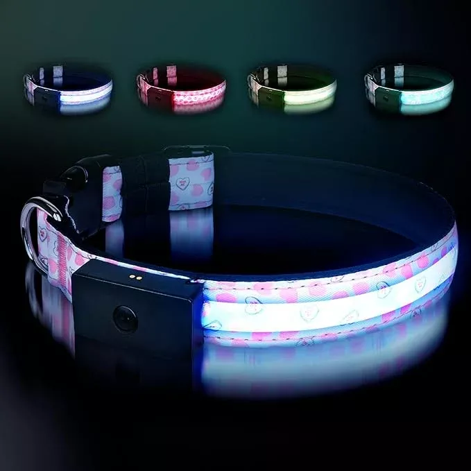LED Dog Collar – Brightest Light Up Dog Collars – 1,600 Feet of High Visibility – Magnetic Charging – Dog Lights for Night Walking, Daisy Extra Large