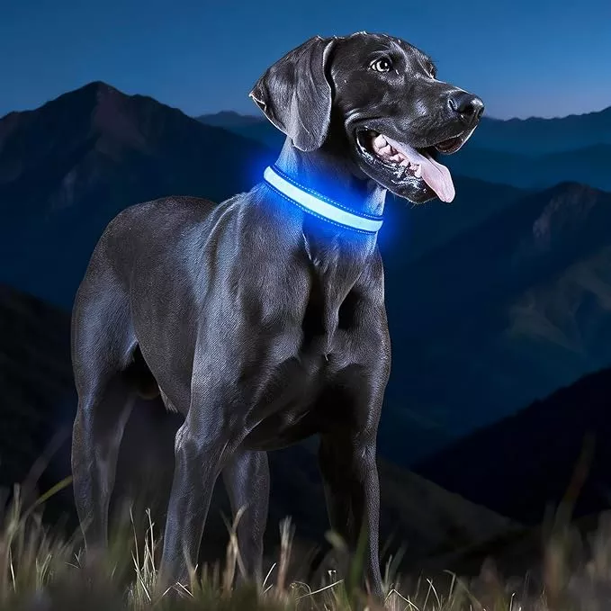 LED Dog Collar, Light Up Dog Collar Adjustable USB Rechargeable High Visibility Dog Light Glowing Pet Collars for Small Dogs (Pink, S)