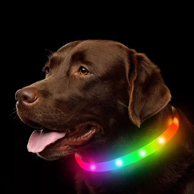 LED Dog Collar, Rechargeable RGB Color Changing Light Up Dog Collars, Waterproof Dog Lights Make Pet Visible and Safety for Night Walking,Outdoor, Camping, for Small Medium Large Dogs