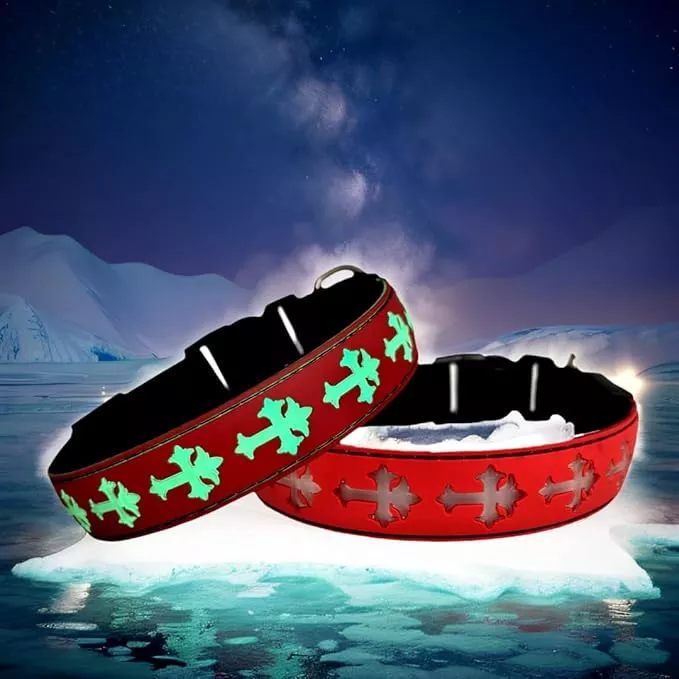 LED Dog Collar, USB Rechargeable, 15 Light Modes, Multi-Color Cross Pattern (RED, M(11.8-15.7″))