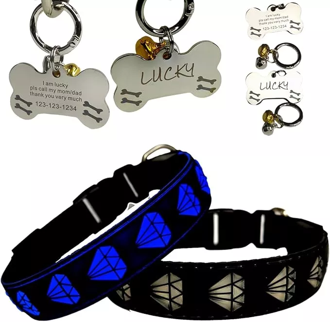 LED Dog Collar with Diamond Pattern, 15 Light Modes, with Bonus Pet ID Tag and Bell (BLACK Pro, M(11.8-15.7″))
