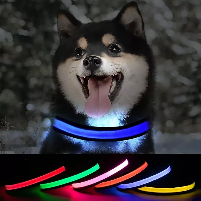 Led Glowing Dog Collars, Lighted Dog Collars for Night, Dog Glow Collar Rechargeable, Light Up Dog Collar for Small Dogs (Blue, Pack of 1, S)