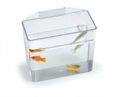 Lee’s Break Resistant Specimen Container