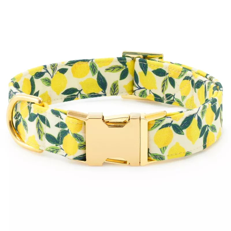Lemon Zest Dog Collar