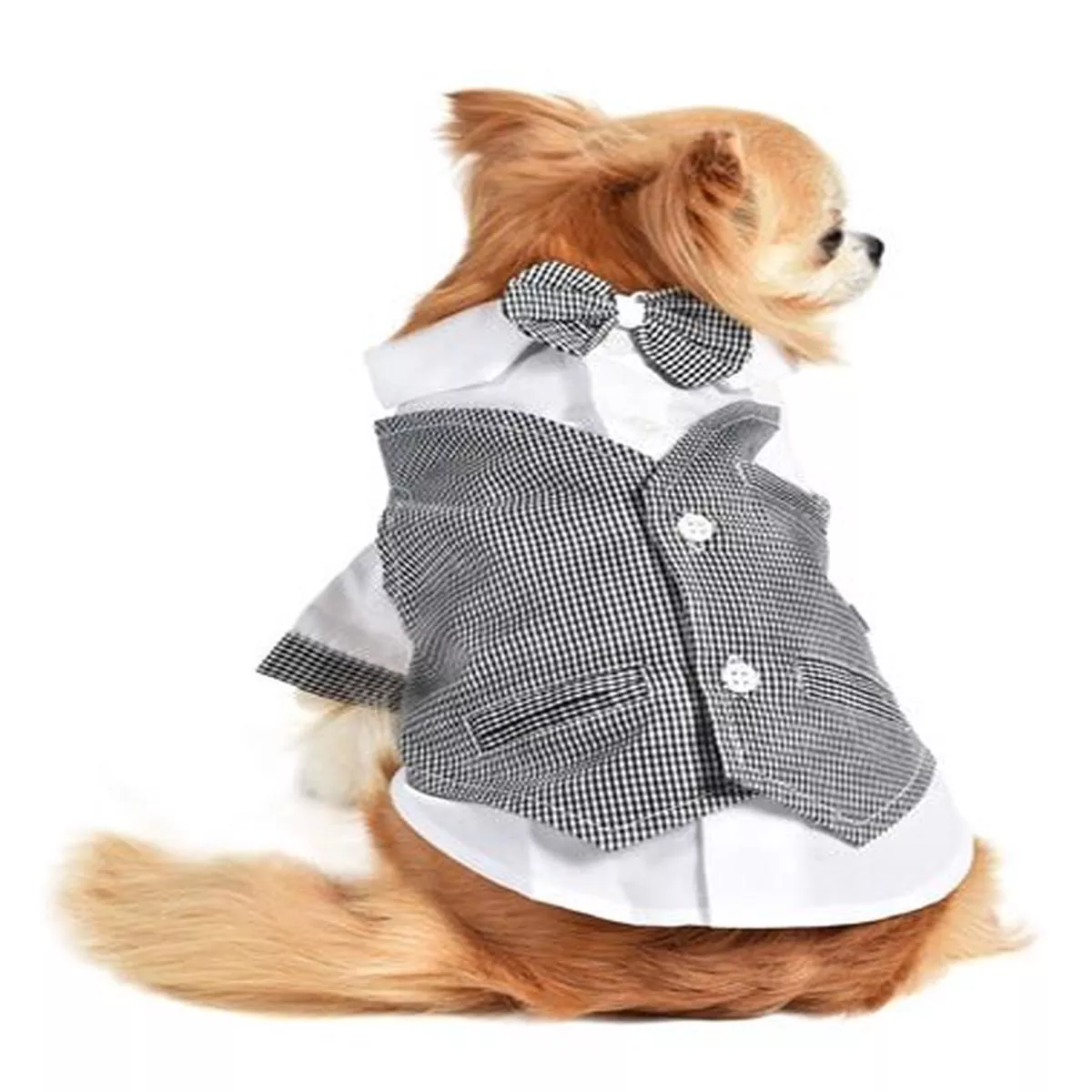 License to Chill Tux