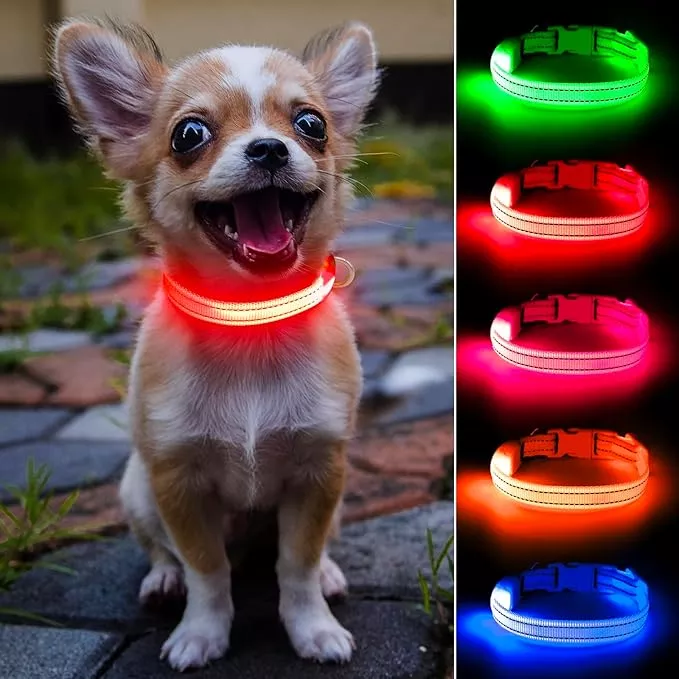 Light Up Dog Collar for Small Dogs – Rechargeable LED Cat Collar, Adjustable Reflective Puppy Collar Glowing Safety Dog Lights for Night Walking (Red)