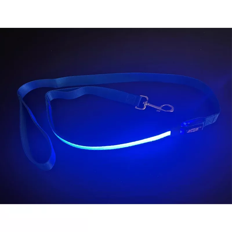 Light Up LED Dog Leash: Blue
