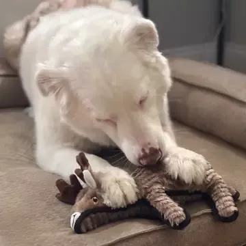 Lightning Dog Rowdy Herder Reindeer Dog Toy