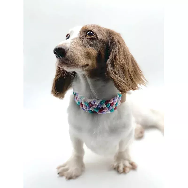 LIGO // martingale collar