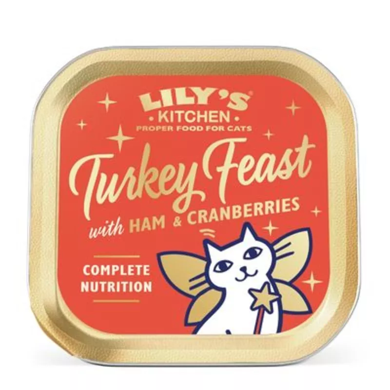 Lily’s Kitchen Christmas Turkey Feast 19 x 85g