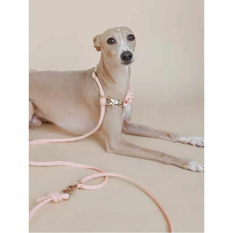 LINJE // crossbody leash