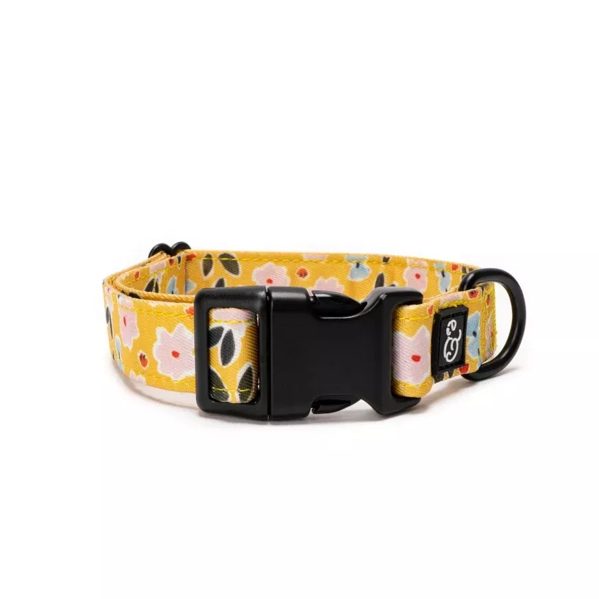 The Little Lamb Collar