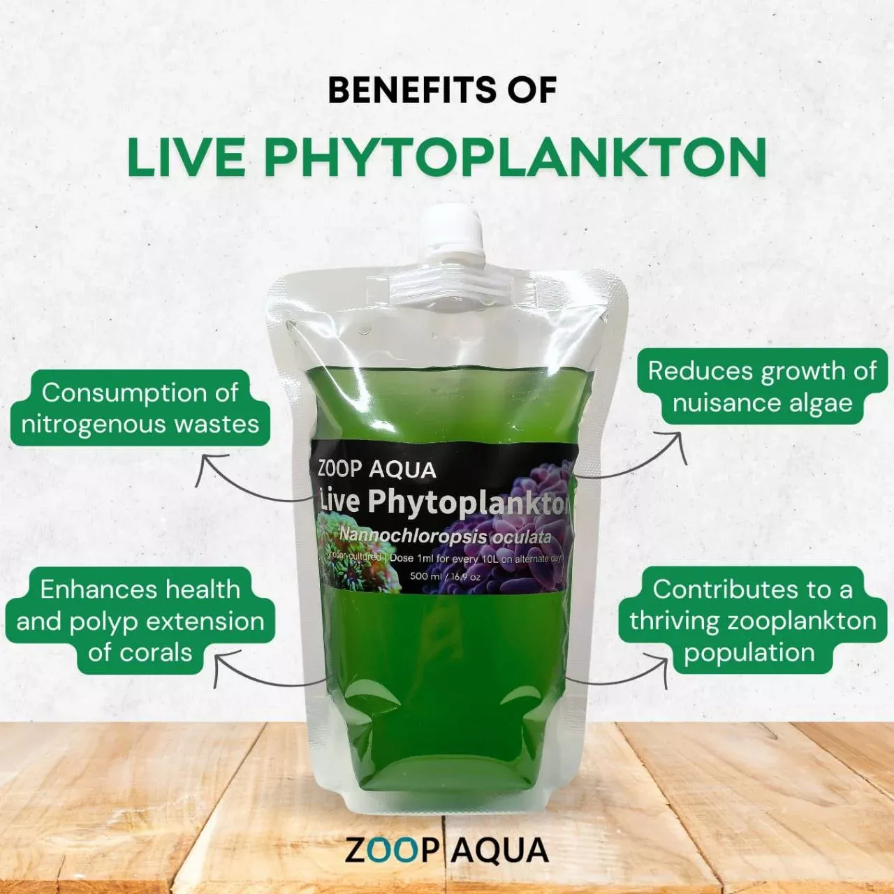 Live Phytoplankton - Nannochloropsis oculata (Green Phyto)