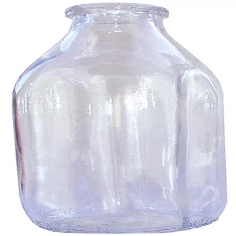 Lixit Glass Replacement Bottle Clear 32 Ounces – Default Title