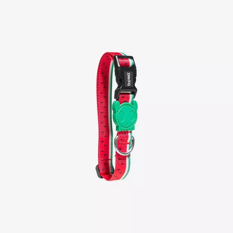 Lola | Dog Collar: Medium