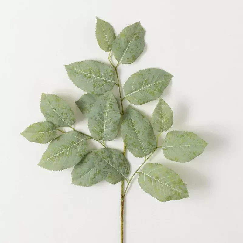 Long Lemon Leaf Spray